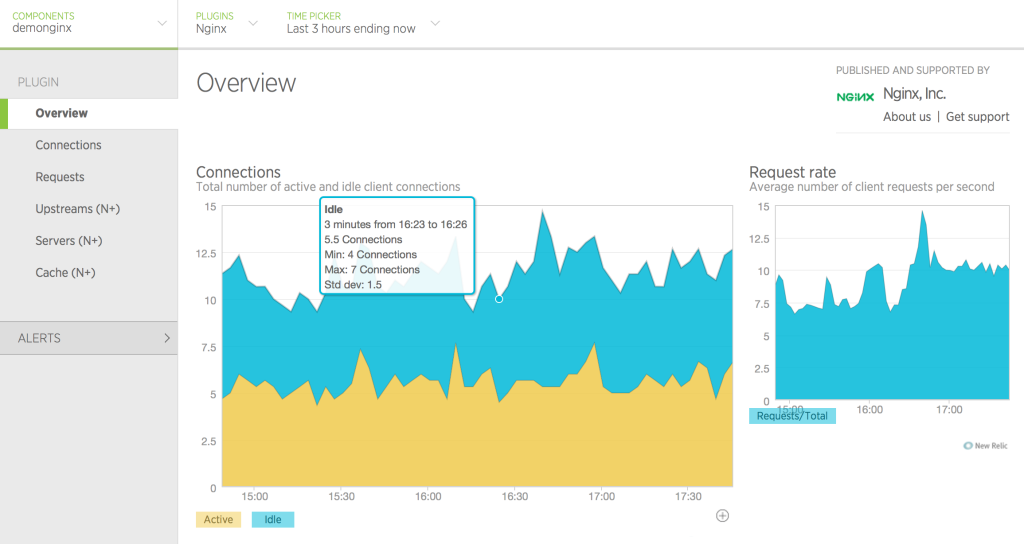 image of Overview tab in New Relic UI