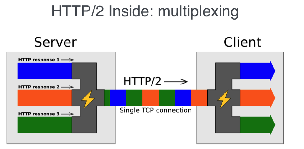 HTTP/2 multiplexes requests and responses onto a single TCP connection
