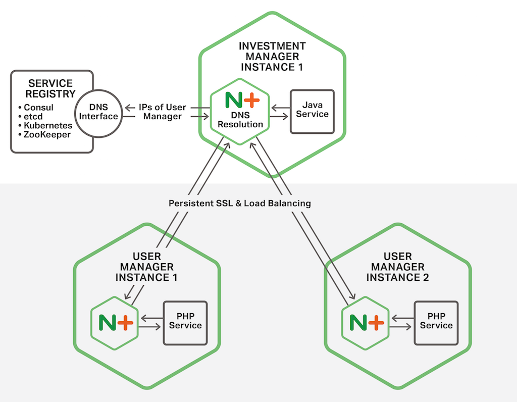 In the Fabric Model of the NGINX Microservices Reference Architecture, an NGINX Plus instance performs service discovery on behalf of its colocated microservice by making DNS requests to a service registry