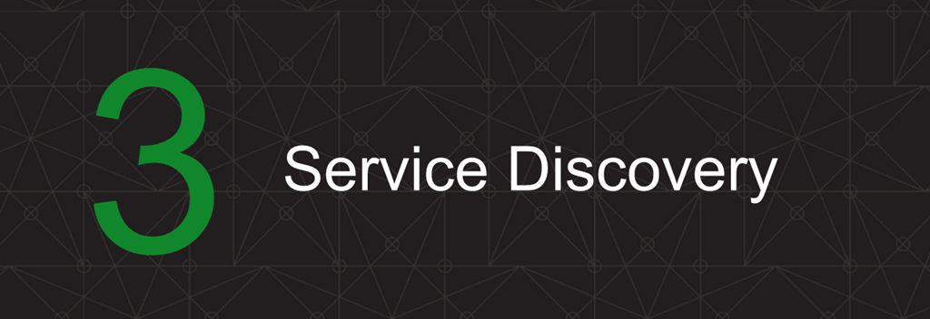 Webinar titled '3 Ways to Automate' Slide 12: Service Discovery